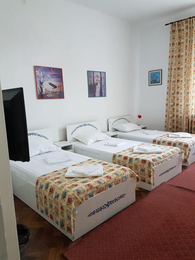 Pensiunea Geostar 2 Curtea de Argeş المظهر الخارجي الصورة