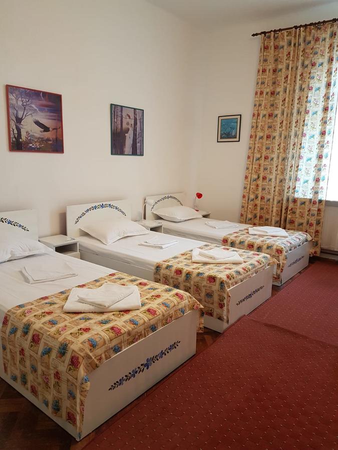 Pensiunea Geostar 2 Curtea de Argeş المظهر الخارجي الصورة