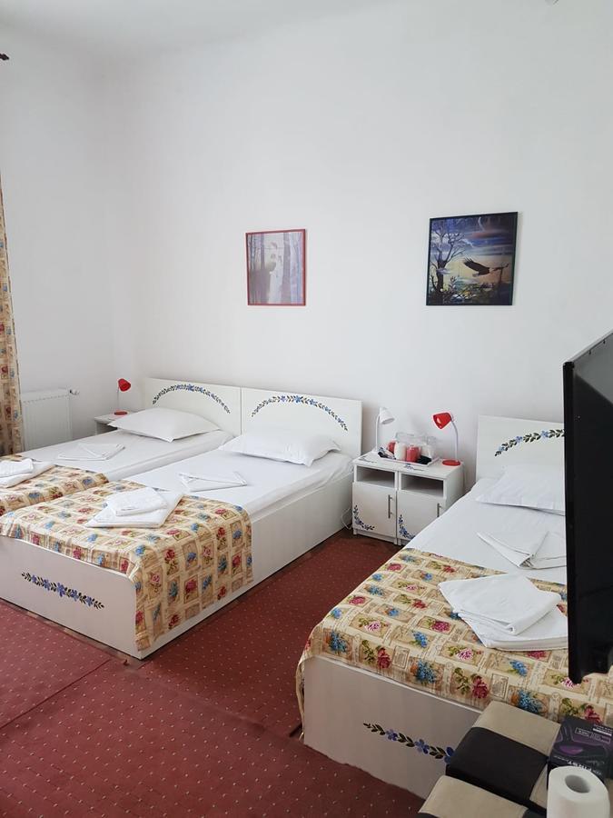 Pensiunea Geostar 2 Curtea de Argeş المظهر الخارجي الصورة