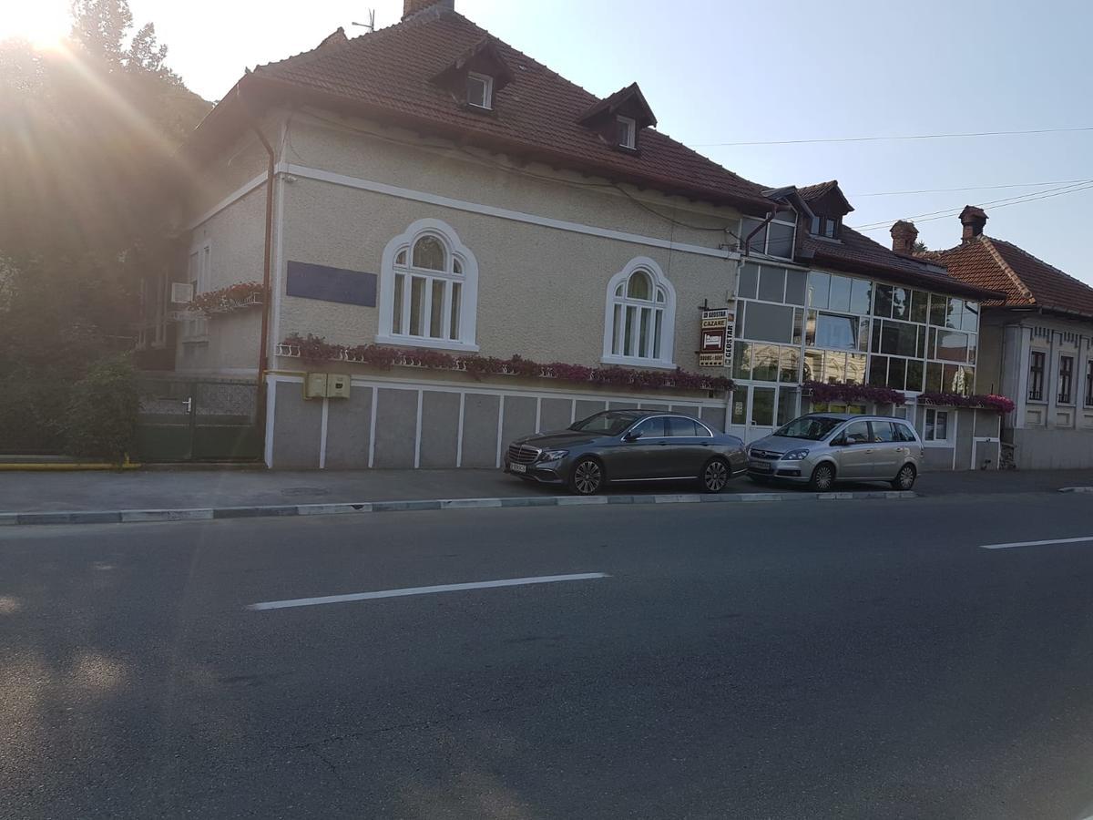 Pensiunea Geostar 2 Curtea de Argeş المظهر الخارجي الصورة